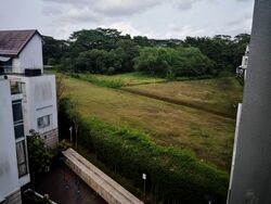 Springleaf Avenue (D26), Semi-Detached #582359371
